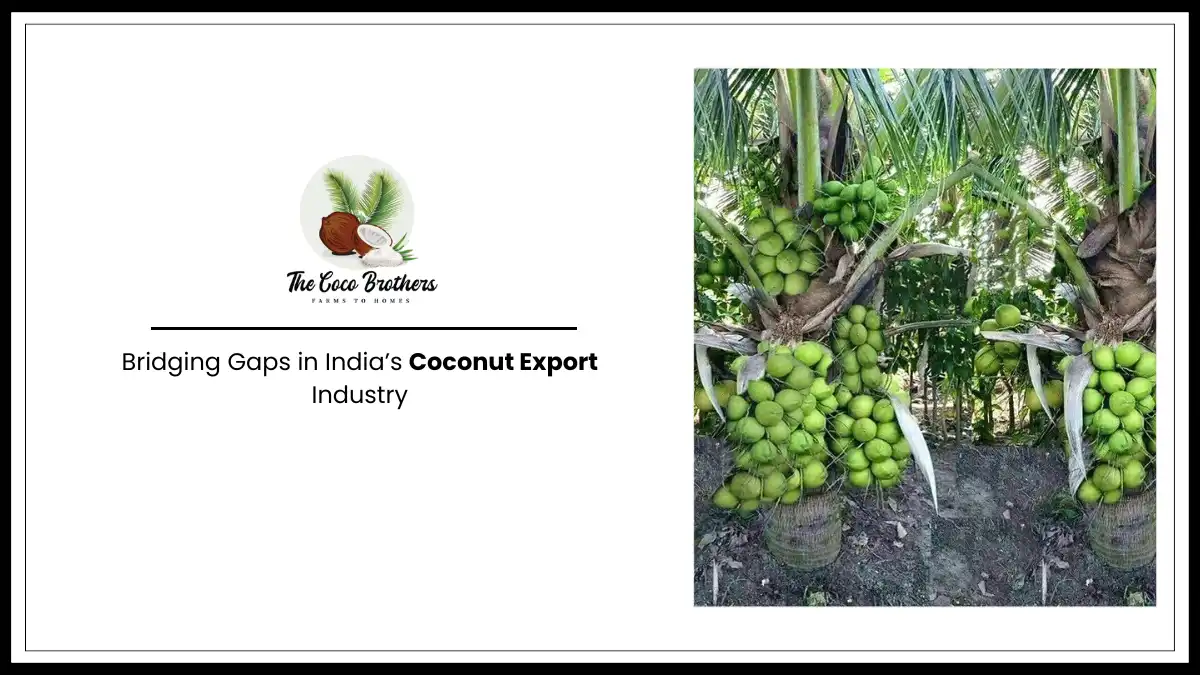 The Coco Brothers: Bridging Gaps in India’s Coconut Export Industry