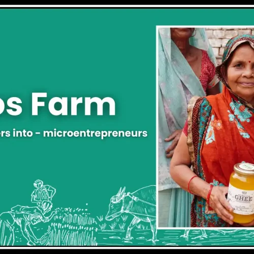 Gyros Farm: Blending Organic Farming with Innovation for Healthier Living