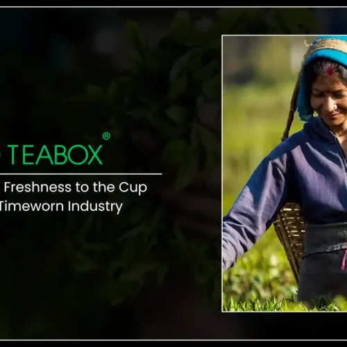 Teabox: Bringing Freshness to the Cup in a Timeworn Industry